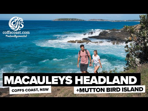 Muttonbird Island & Macauleys Headland - Coffs Harbour