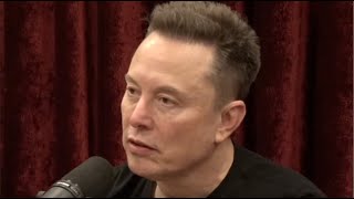 Elon Musk Reveals: They Didn't Want Me To Fix America