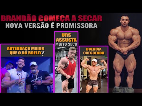 Rafael Brandão mostra shape + Ramon Dino Gigante + Urs Kalecinski muito seco + Jeremy Buendia