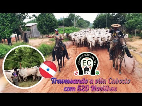 Travessando a vila Caboclo Altamira PÁ