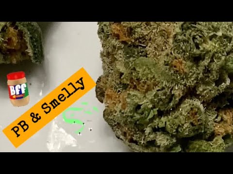 Pb And Smelly Strain
