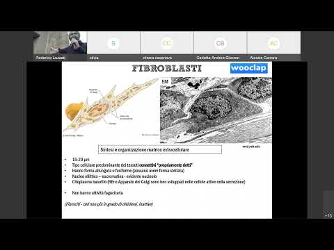 09 Istologia Tessuto Connettivo Propriamente Detto Canale A