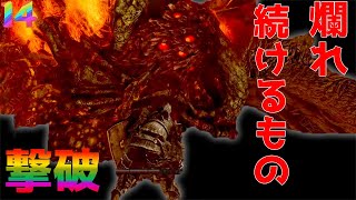 死にゲー苦手の男が挑むダークソウル/爛れ続けるもの撃破＃１４