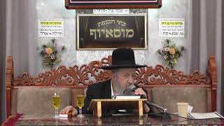 הרב בן ציון מוצפי  •  פרשת שמות תשפ'ו (הרב בן ציון מוצפי) - התמונה מוצגת ישירות מתוך אתר האינטרנט יוטיוב. זכויות היוצרים בתמונה שייכות ליוצרה. קישור קרדיט למקור התוכן נמצא בתוך דף הסרטון