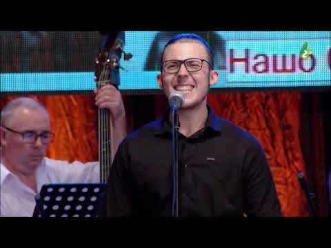 MOJ STARI DOME - Viktor HRIN