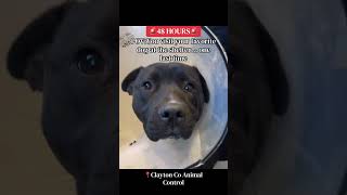 Download lagu 👉 Follow on Facebook for updates: https://www.facebook.com/share/1DGthwCvG8/?mibextid=wwXIfr mp3 Download lagu 👉 Follow on Facebook for updates: https://www.facebook.com/share/1DGthwCvG8/?mibextid=wwXIfr mp3