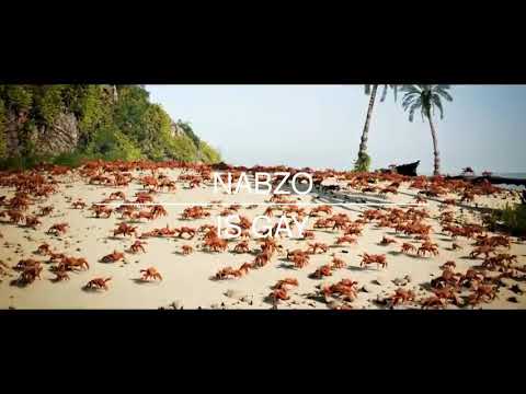 Nabzo Diss Track ft Dank Meme Machine