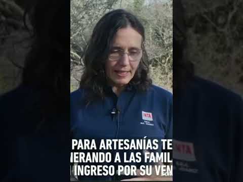 el chaguar🪴 #plantas (flora autóctona) norte argentino