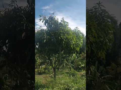 lindos paisajes de urrao antioquia