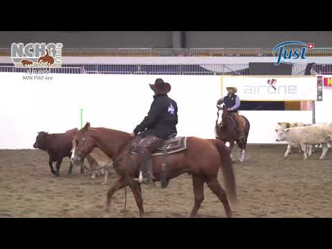 LUCA SANTORO - SPIDER HOUSE CAT