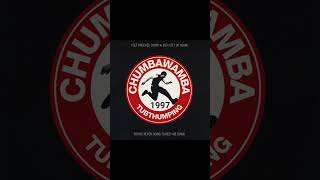 #punkrock #90smusic 🎵 #chumbawamba #tubthumping 🎧