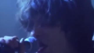 The Waterboys - The whole of the moon