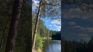 Lovely quiet places in Sweden #sweden #nature #hsp