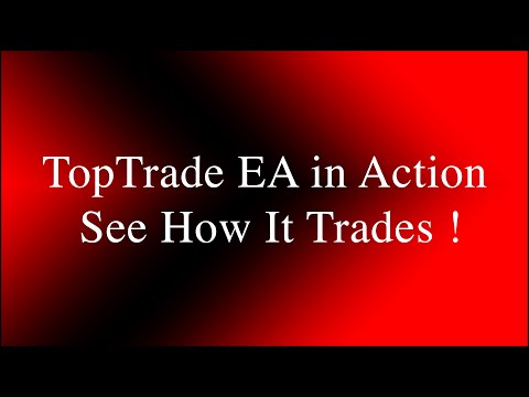 Video TopTradeB