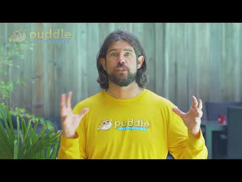 Puddle Pool Services