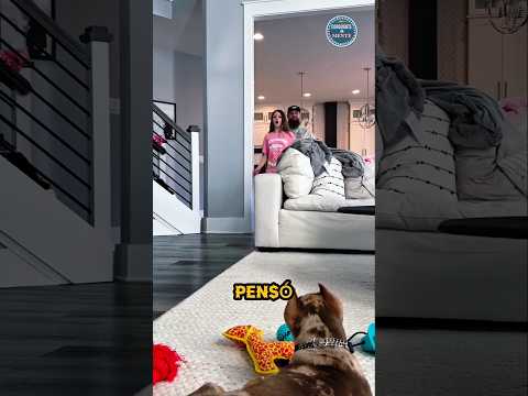 El mejor REGALO de TODA SU VIDA 💛 🐶 #shorts #viral