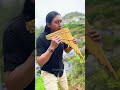 Sailing - 💿 Instrumental Panflute / Flute / #subscribe #mountains #fyp #nature #panflute #Lajas