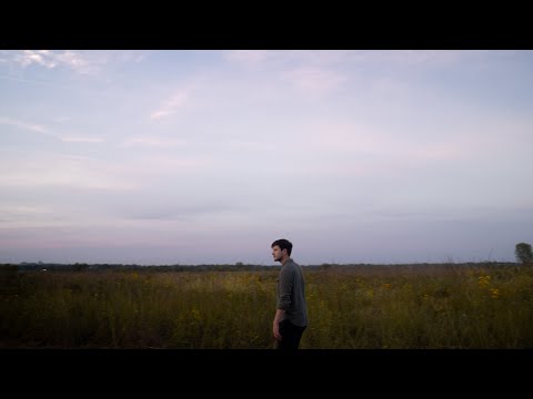 The Breeze - The Foxes' Forest