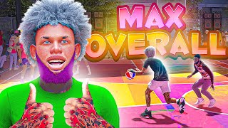 FASTEST WAY TO GET MAX BADGES AND 99 OVERALL IN 1 DAY IN 2K24!! MAX EVERY BUILD YOU MAKE IN A DAY!!