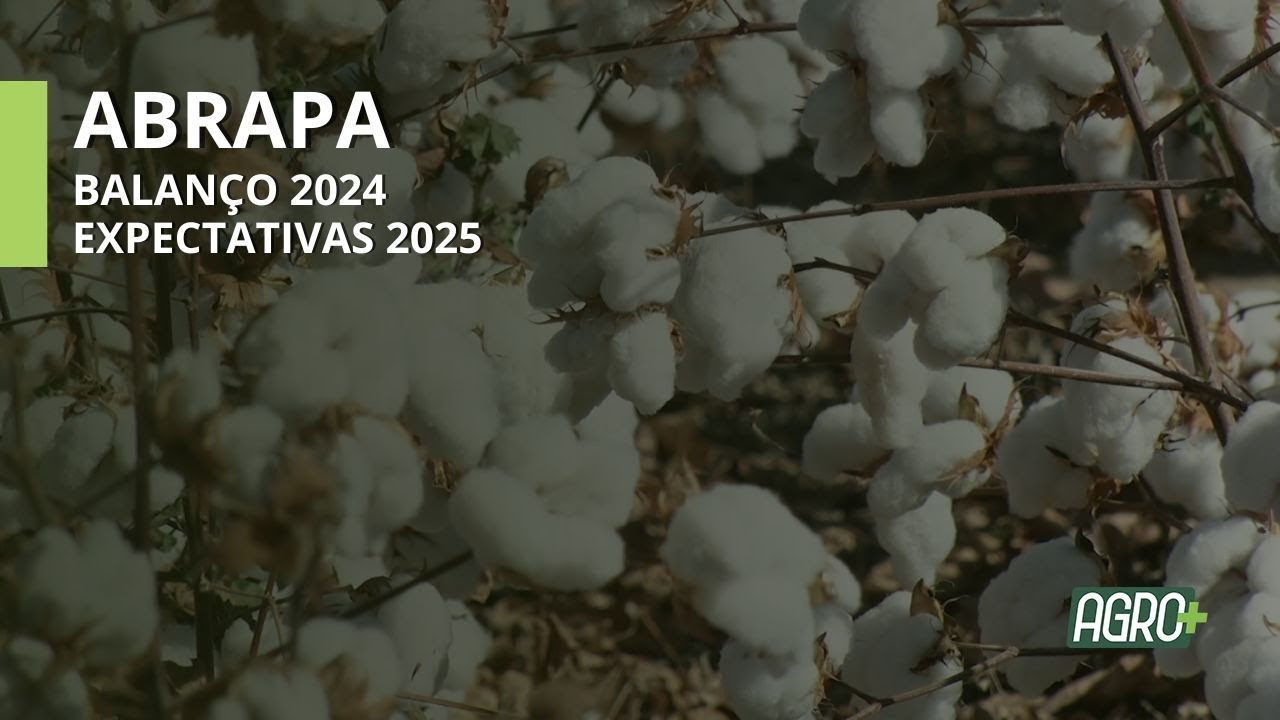 Abrapa: Balanço para 2024 e Expectativas para 2025