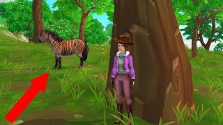 Catching A Zony ! Zebra Pony Mix - Buying A New Star Stable Horse - Roleplay Video