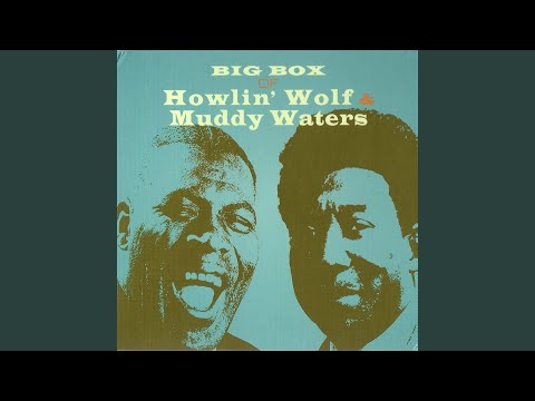 Videoclip de Trainfare Blues — Muddy Waters
