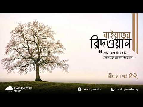 পর্ব ৫২ | সীরাহ | বাইয়াতুর রিদওয়ান | Rain Drops Media
