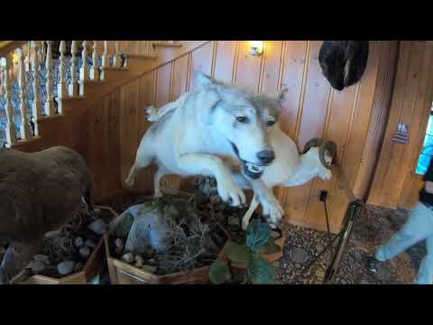 Stagecoach Inn at West Yellowstone