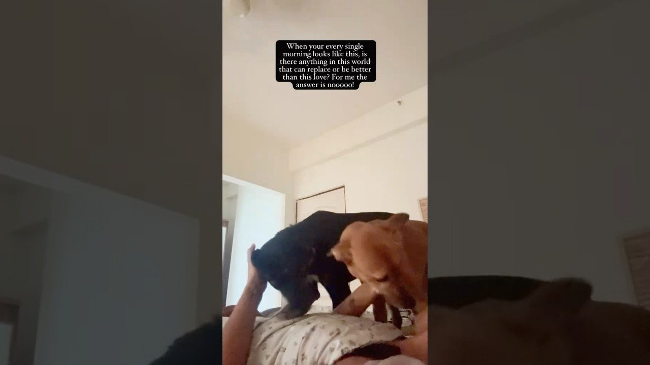 When your pups are your sunshine