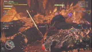 歴戦王ヌ·エグドラ