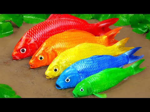 Best Of Small Fish Recipe | MINIATURE Fish Cooking Made EASY with Simple Recipe