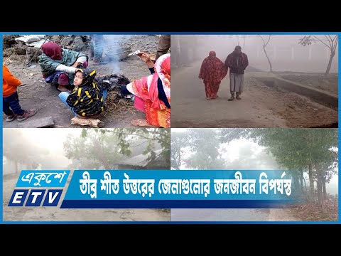 ঘনকুয়াশা আর তীব্র শীত উত্তরের জেলাগুলোর জনজীবন বিপর্যস্ত | ETV News