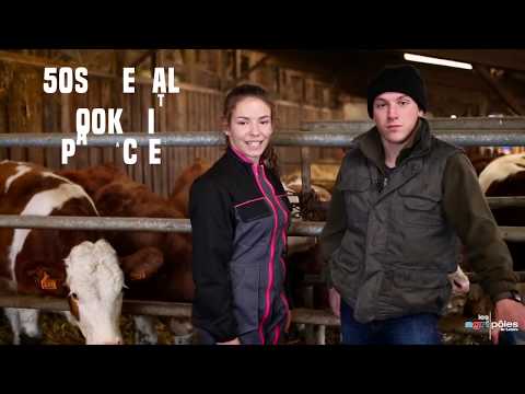 download lagu mp3 mp4 Eplefpa, download lagu Eplefpa gratis, unduh video klip Eplefpa