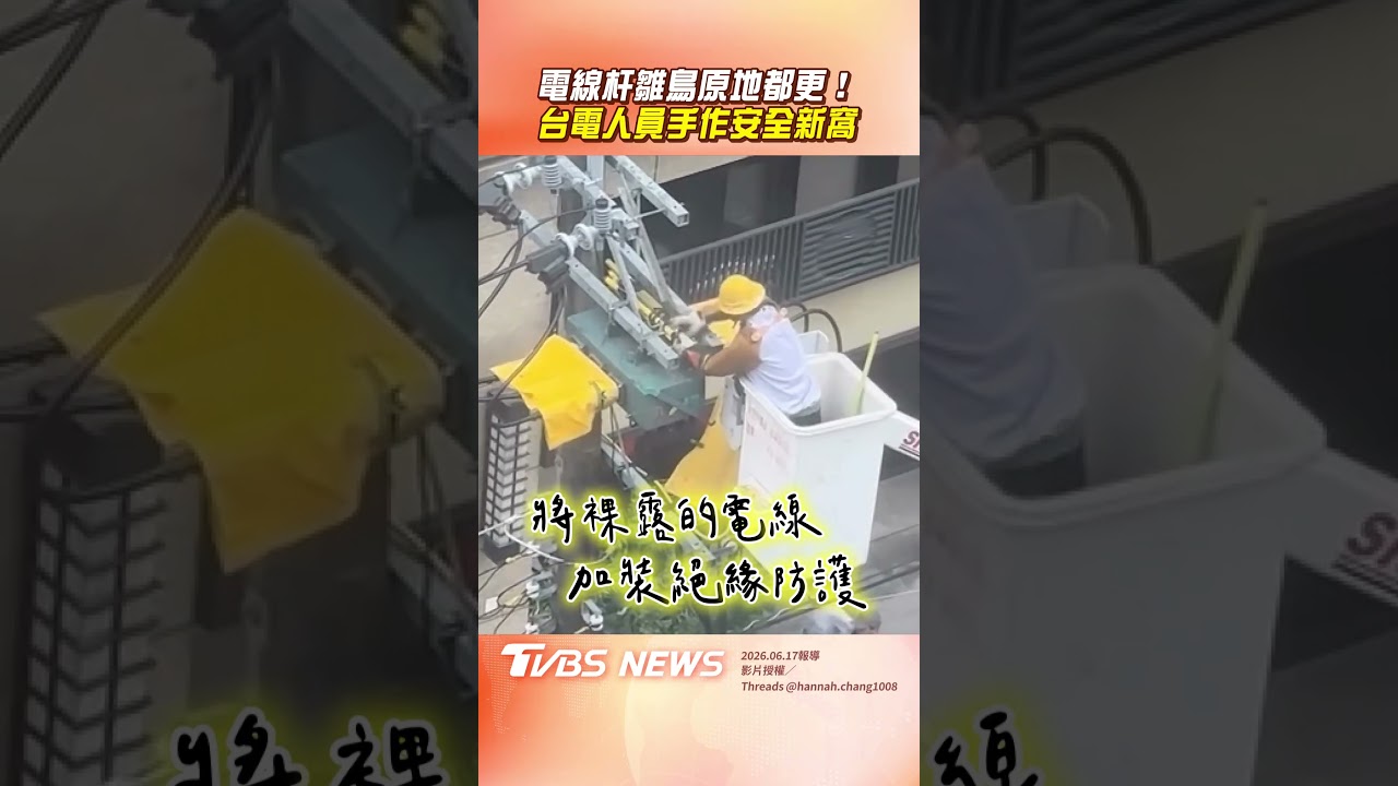 影音/台電人員暖幫雛鳥「搬新窩」 「三角錐當安全家」網狂讚