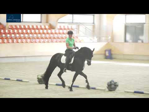 Voorrijdagen aangewezen hengsten 4-8-2020