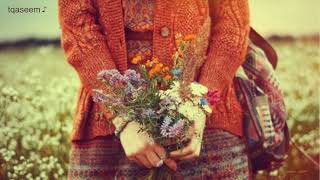 كلمات اغنية كل الليالي لحال والليلة لحال عبدالعزيز المعنى