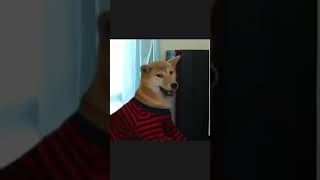 Download lagu June 2, 2022 mp3