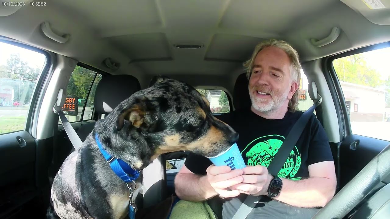 Enlarge Levi, a Adoptable Catahoula Leopard Dog in Quincy, MI video 3/3