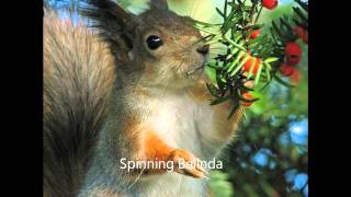Prefab Sprout - Spinning Belinda