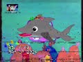 BabyTV Mitch Match Delfín