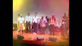 THE ARK JAMMERS - BIKUTSI for Americans