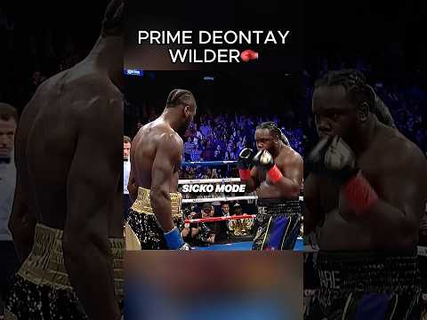 Deontay Wilder’s Coldest Knockout