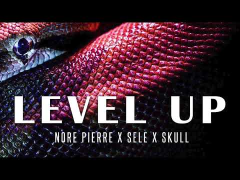 Skull - Level Up ft. Sele x Nore (Prod.Nore) Official Audio