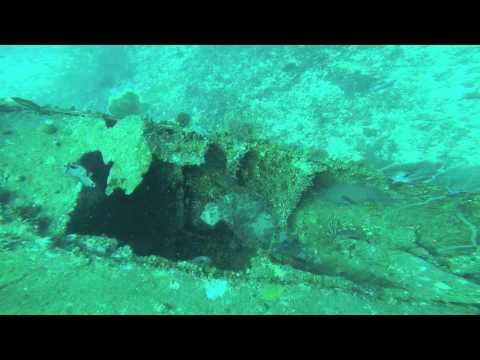 Around Us -Adeodat Warfield