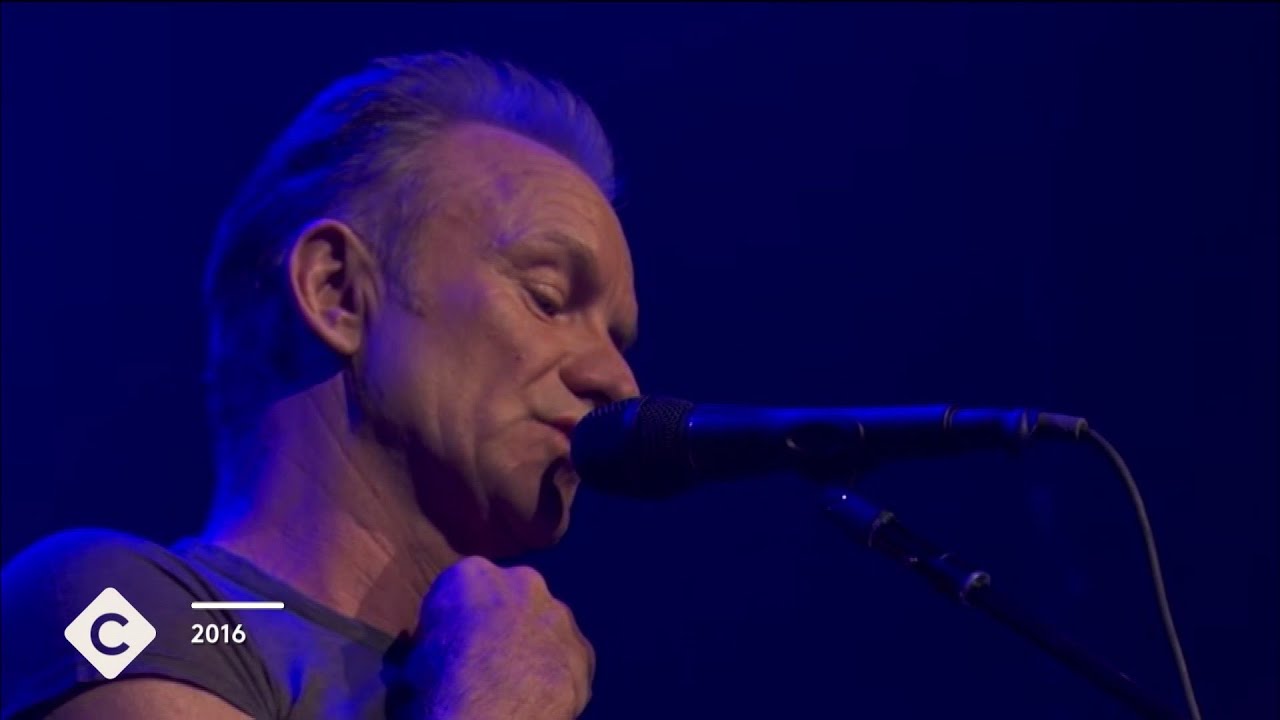 Sting, an englishman in Paris  - L’œil d’Églantine Éméyé