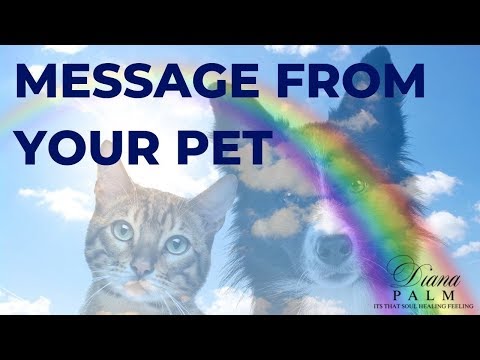 COMMUNICATING WITH PETS AFTER DEATH - MESSAGES FROM HEAVEN