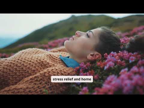 Saje Natural Wellness — Essential Oils and Natural Solutions for Everyday Wellbeing