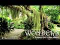 Airbase feat. Floria Ambra - Wonders 
