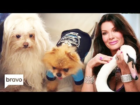 All Of Lisa Vanderpump's Pet Animals | RHOBH | Bravo
