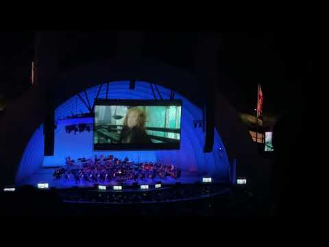 Molly Weasley Defeats Bellatrix [Hollywood Bowl Reaction 2023]